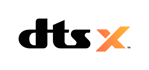 Logo DTS X